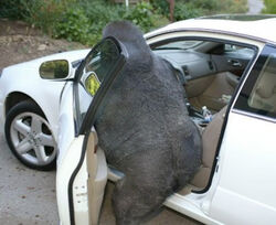 7186f2a7f92308abe302e1ca8ad40b12 (1).jpg