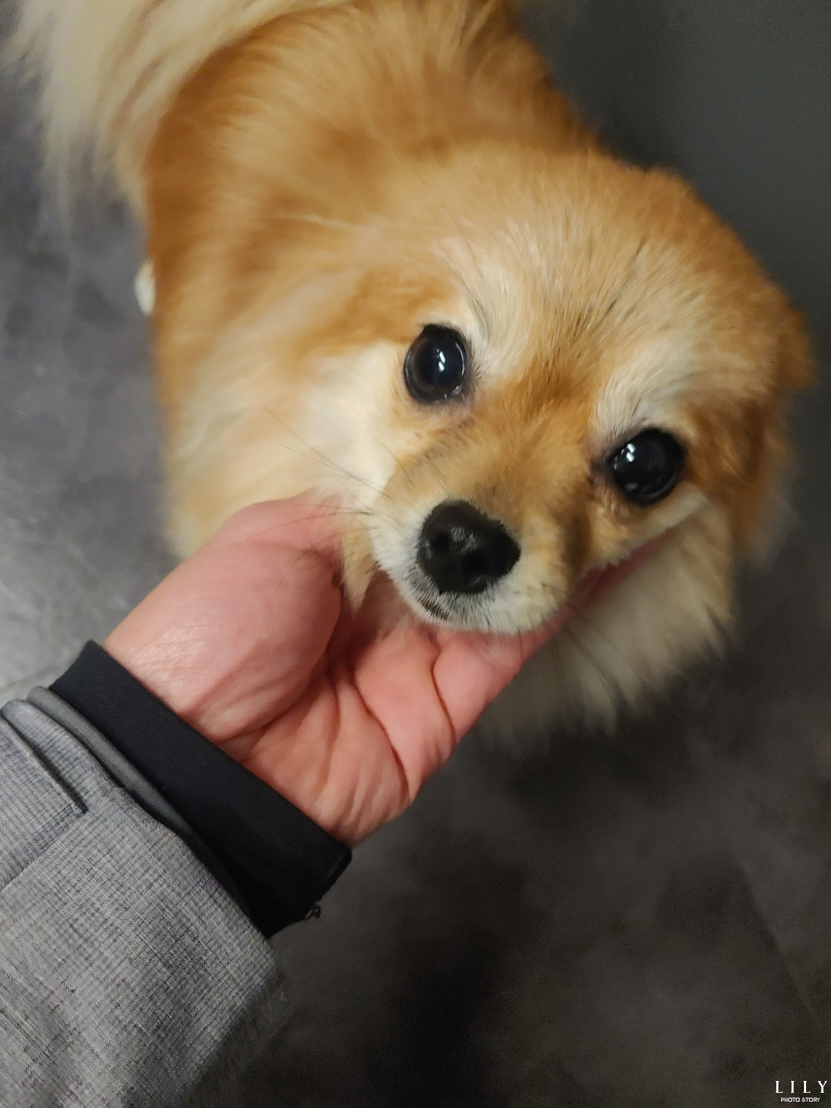 20220321_220412 복사.jpg