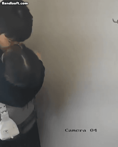 Honeycam 2025-08-30 00-38-28.gif