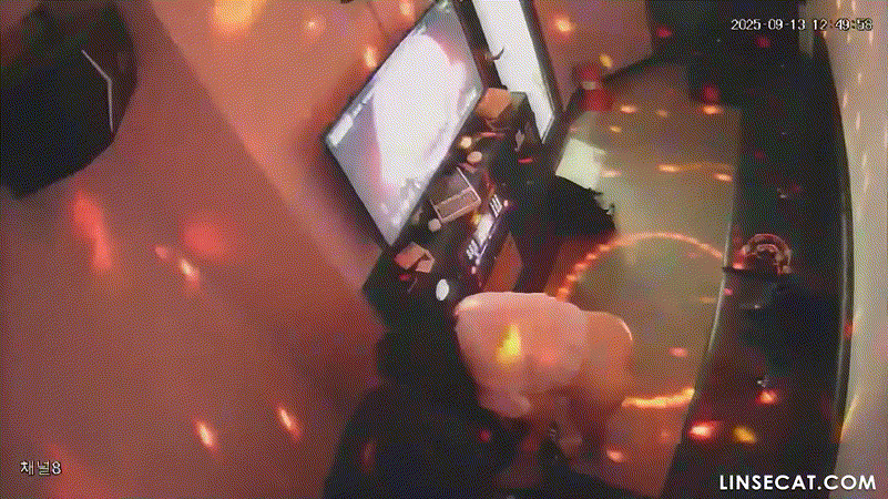9.gif