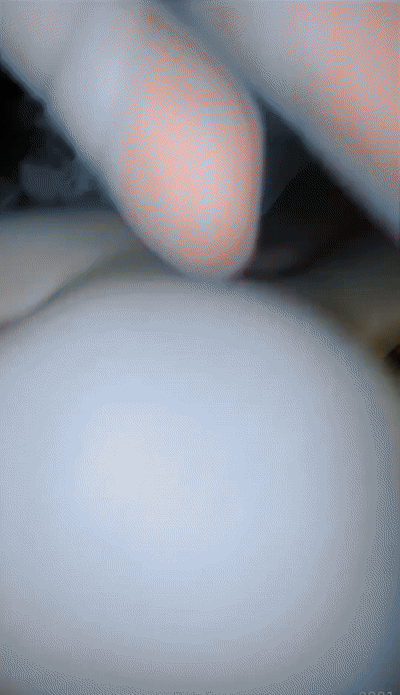1.gif