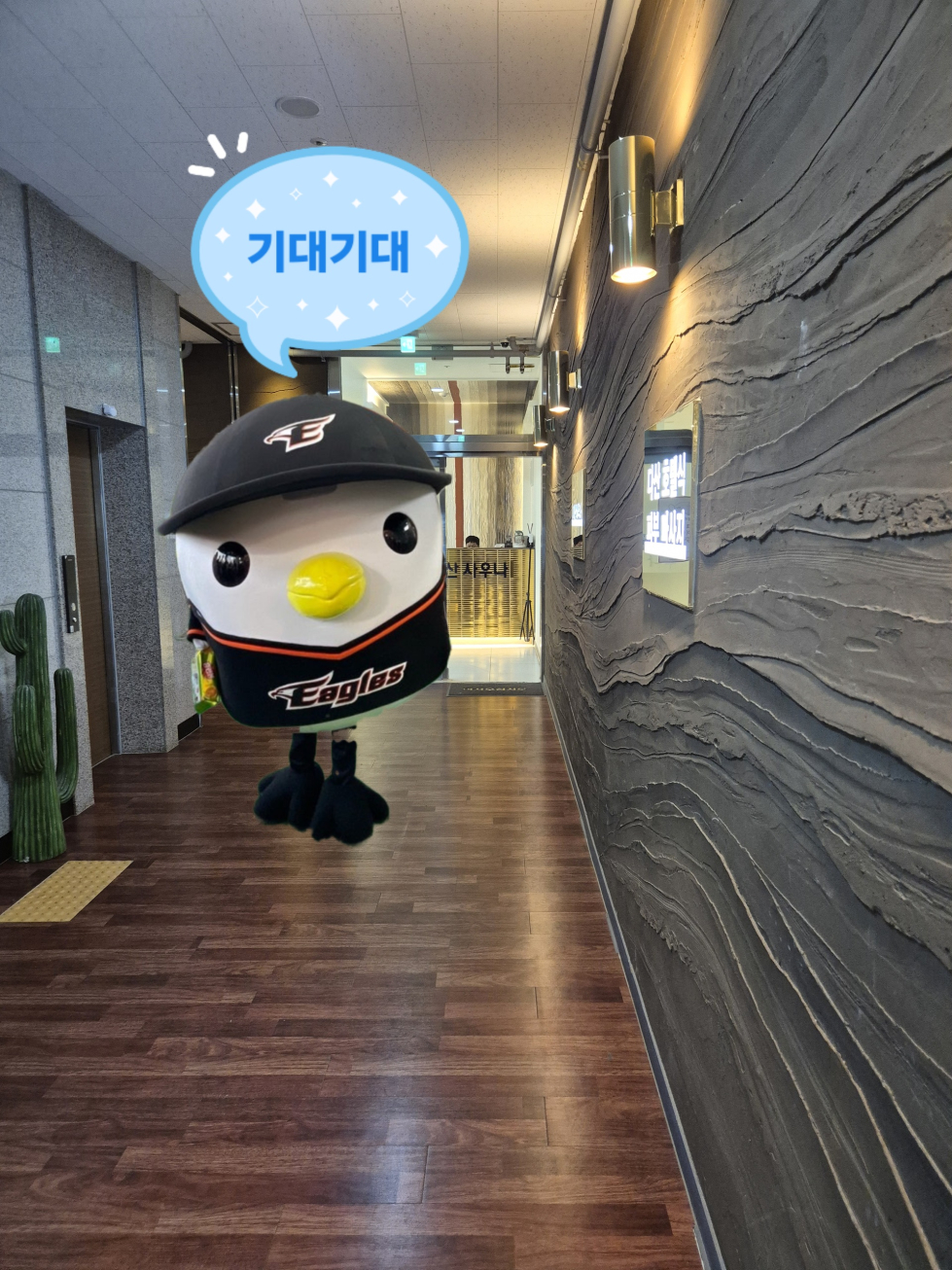 다산 2.jpg